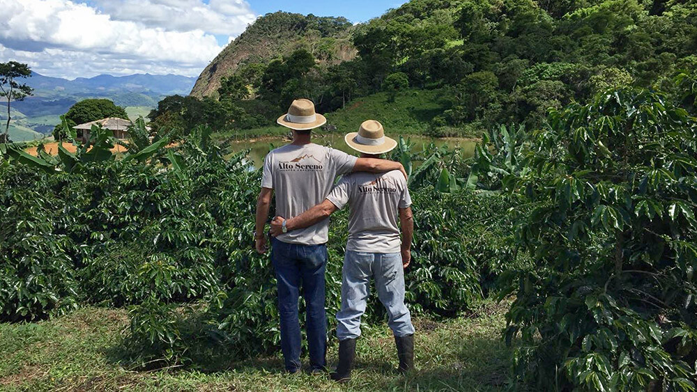 Seleção Janeiro – Fazenda Alto Sereno