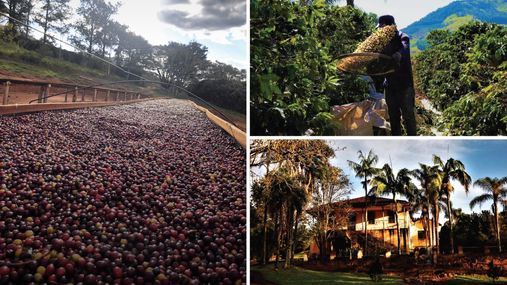 Seleção de Junho – Fazenda Baobá